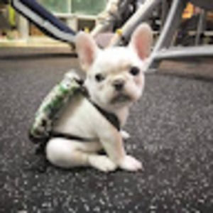 Meet your Posher, Gyeongnam